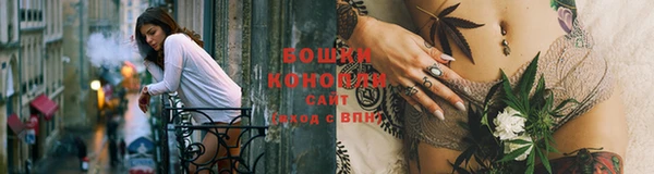 молекула духа Белоозёрский