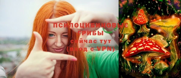 каннабис Дмитров