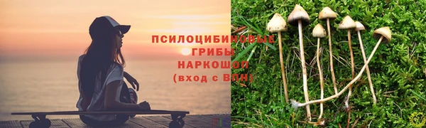 молекула духа Белоозёрский