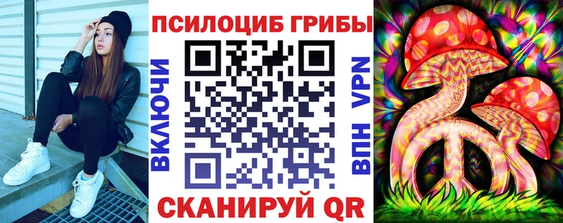 Псилоцибиновые грибы мицелий  цена   Котельники 
